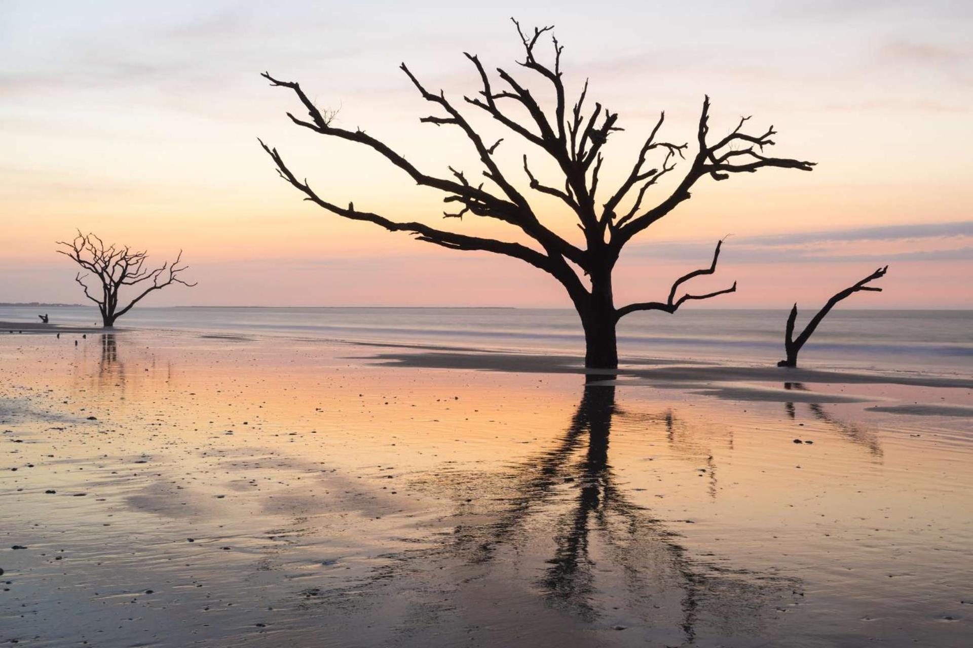 The Treehouse Villa Isle of Palms Esterno foto